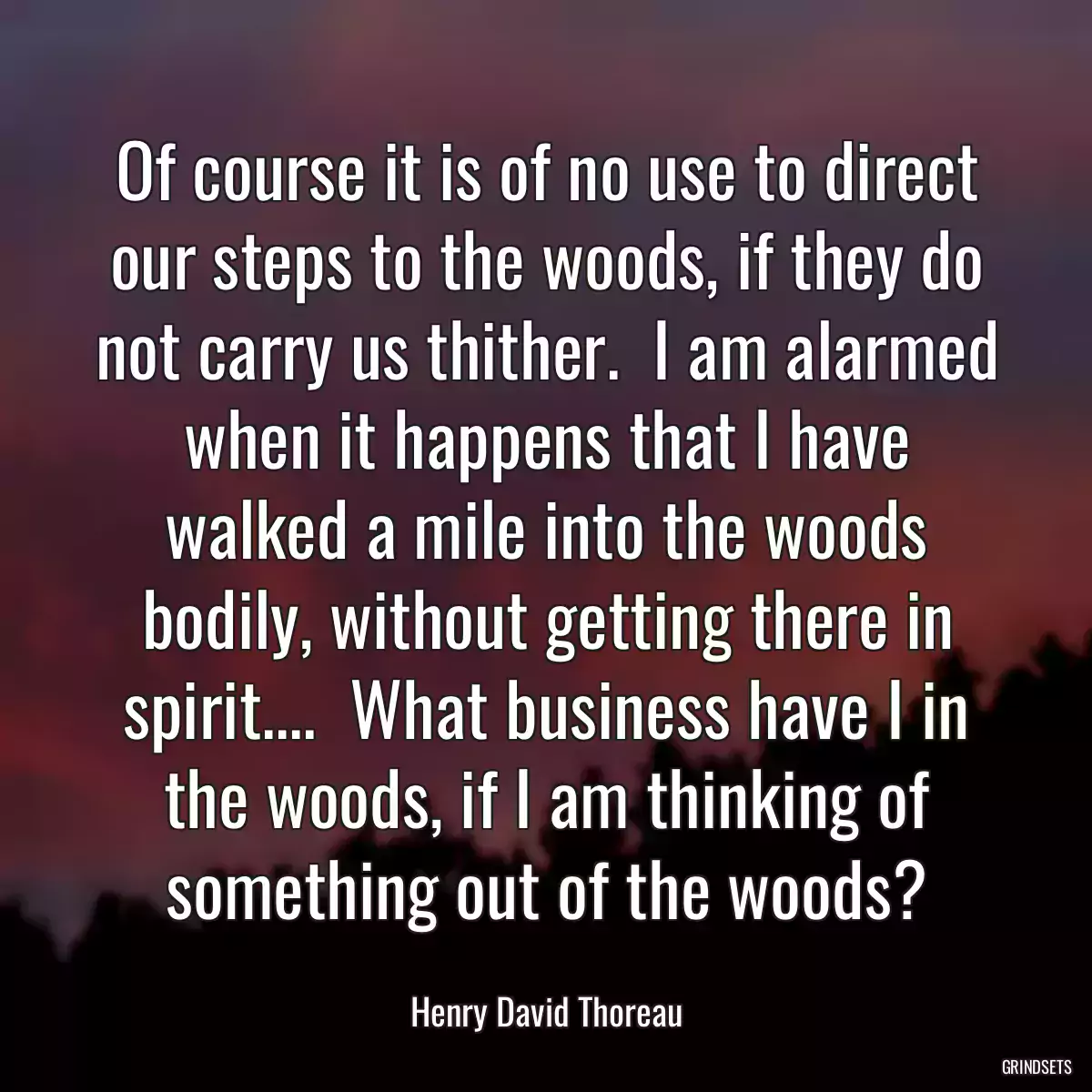 Of course it is of no use to direct our steps to the woods, if they do not carry us thither.  I am alarmed when it happens that I have walked a mile into the woods bodily, without getting there in spirit....  What business have I in the woods, if I am thinking of something out of the woods?