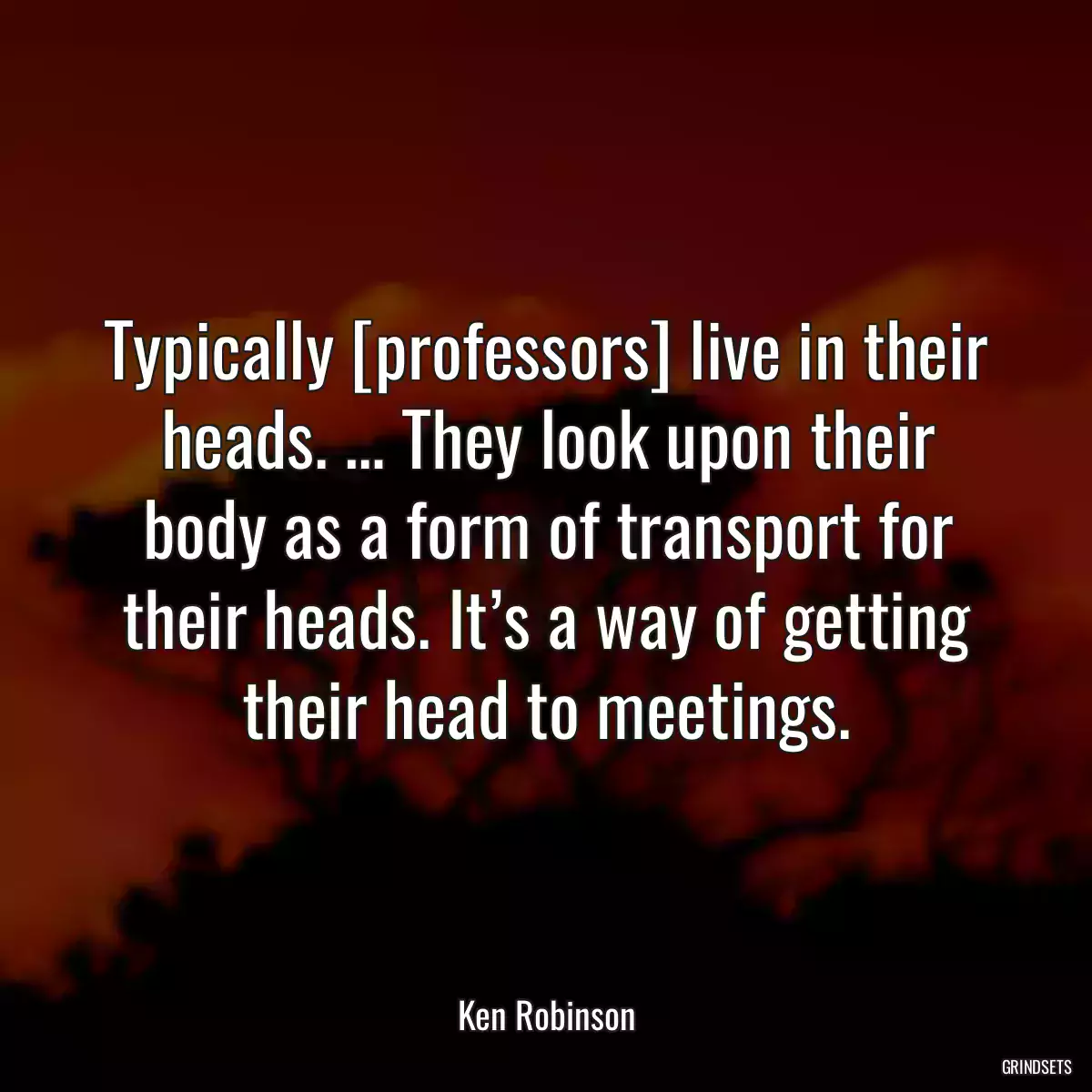 Typically [professors] live in their heads. … They look upon their body as a form of transport for their heads. It’s a way of getting their head to meetings.