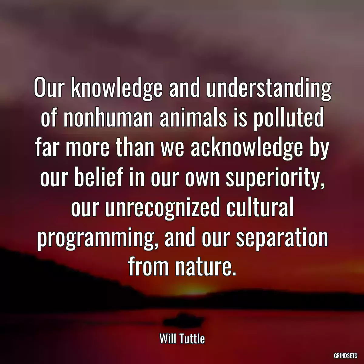 Our knowledge and understanding of nonhuman animals is polluted far more than we acknowledge by our belief in our own superiority, our unrecognized cultural programming, and our separation from nature.