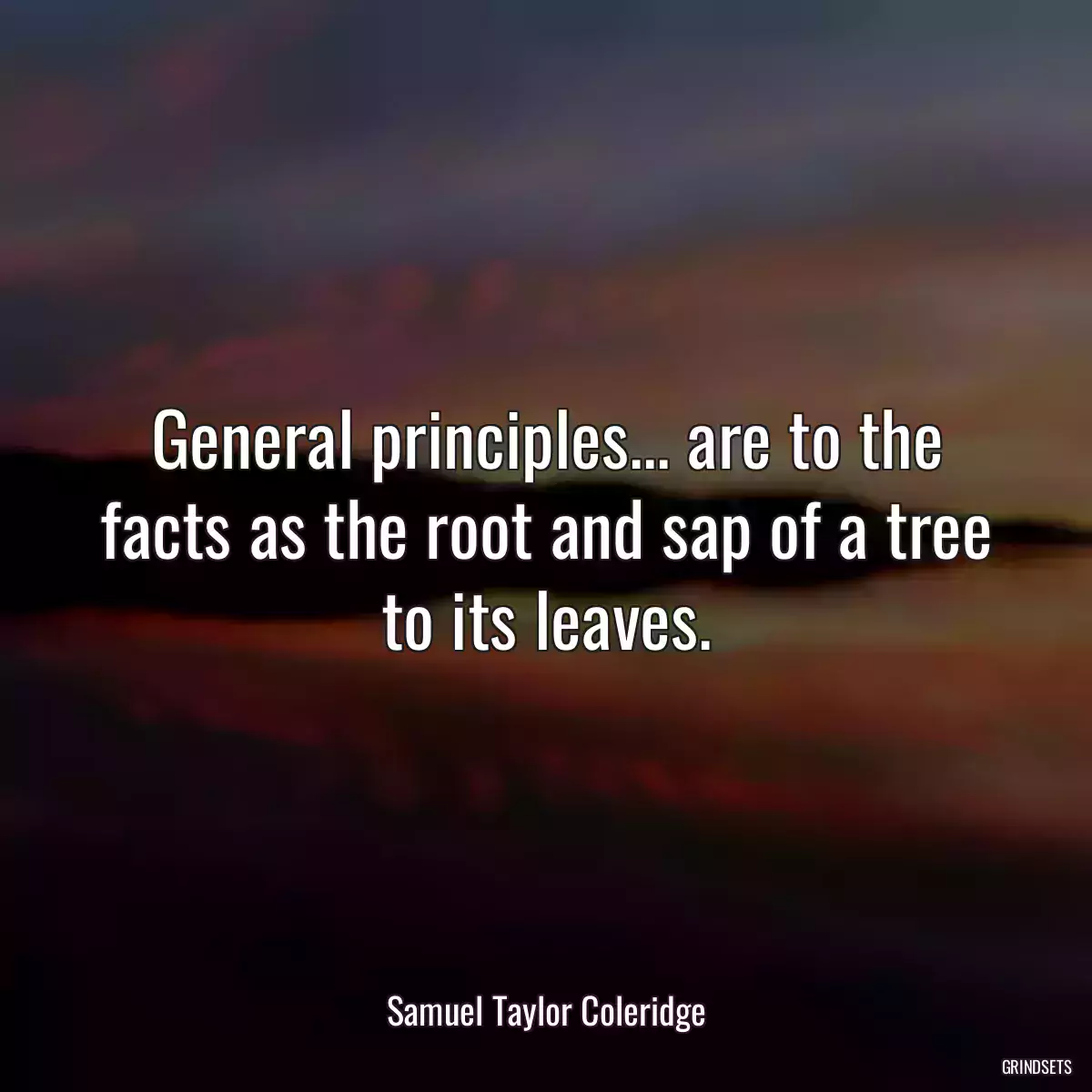 General principles... are to the facts as the root and sap of a tree to its leaves.