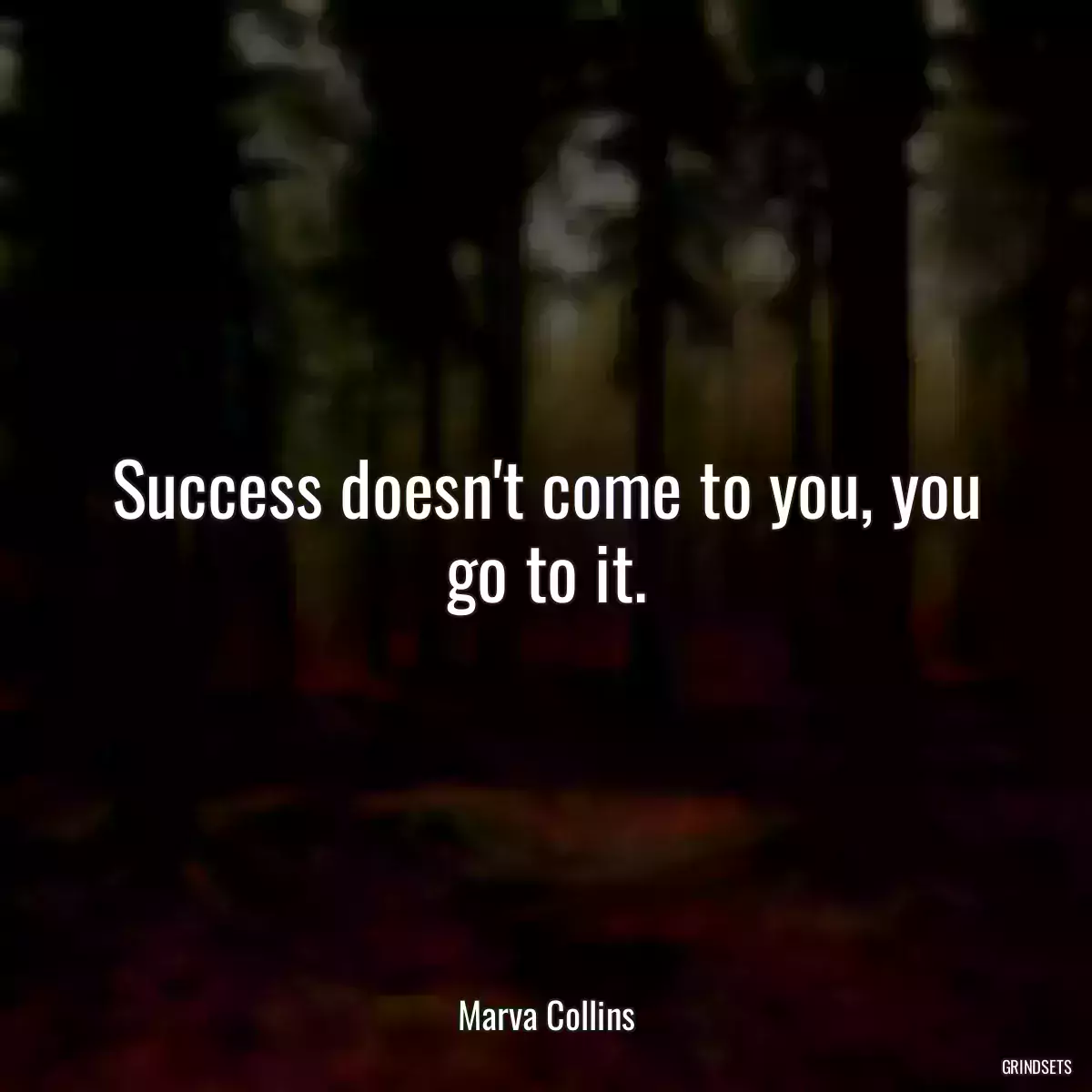 Success doesn\'t come to you, you go to it.