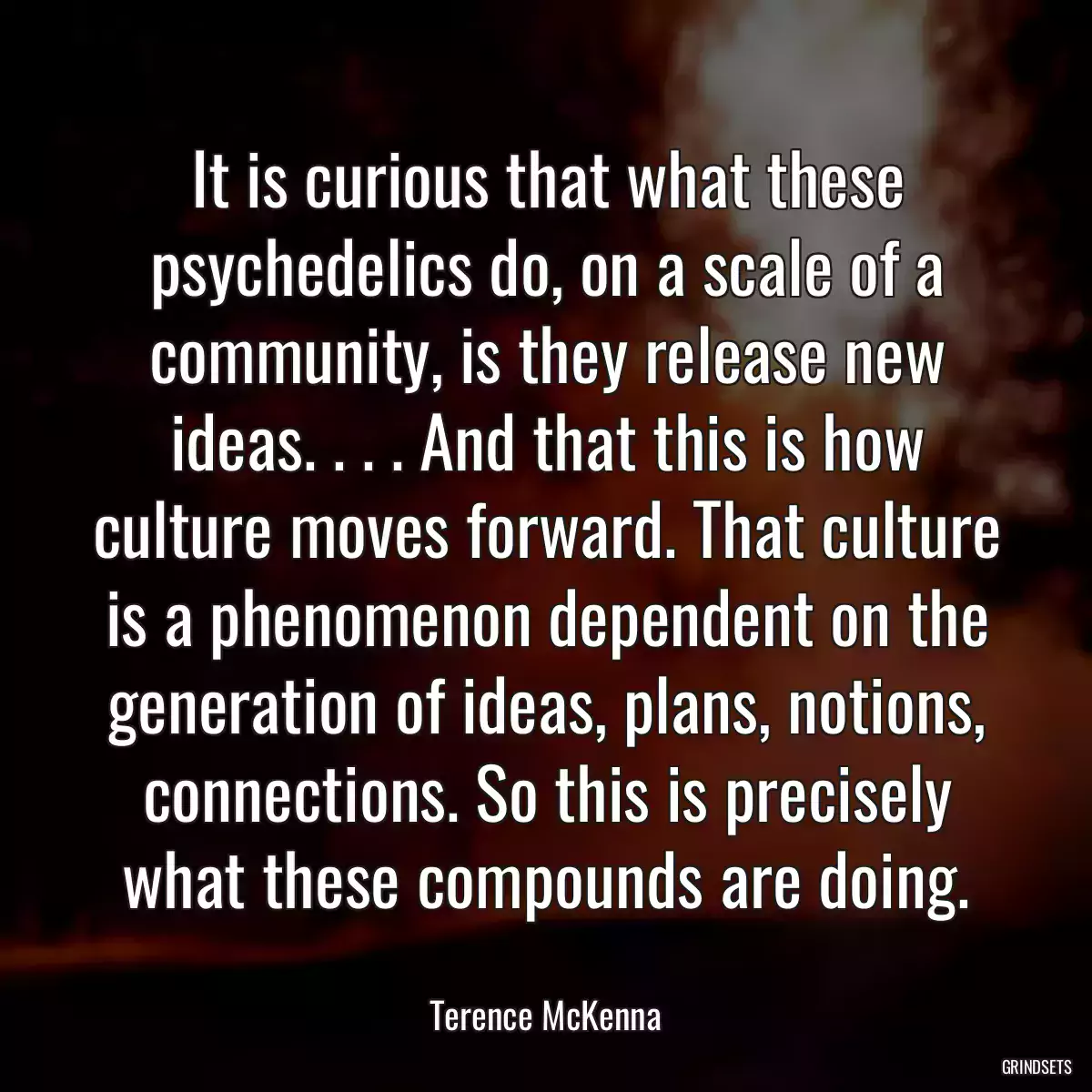 It is curious that what these psychedelics do, on a scale of a community, is they release new ideas. . . . And that this is how culture moves forward. That culture is a phenomenon dependent on the generation of ideas, plans, notions, connections. So this is precisely what these compounds are doing.