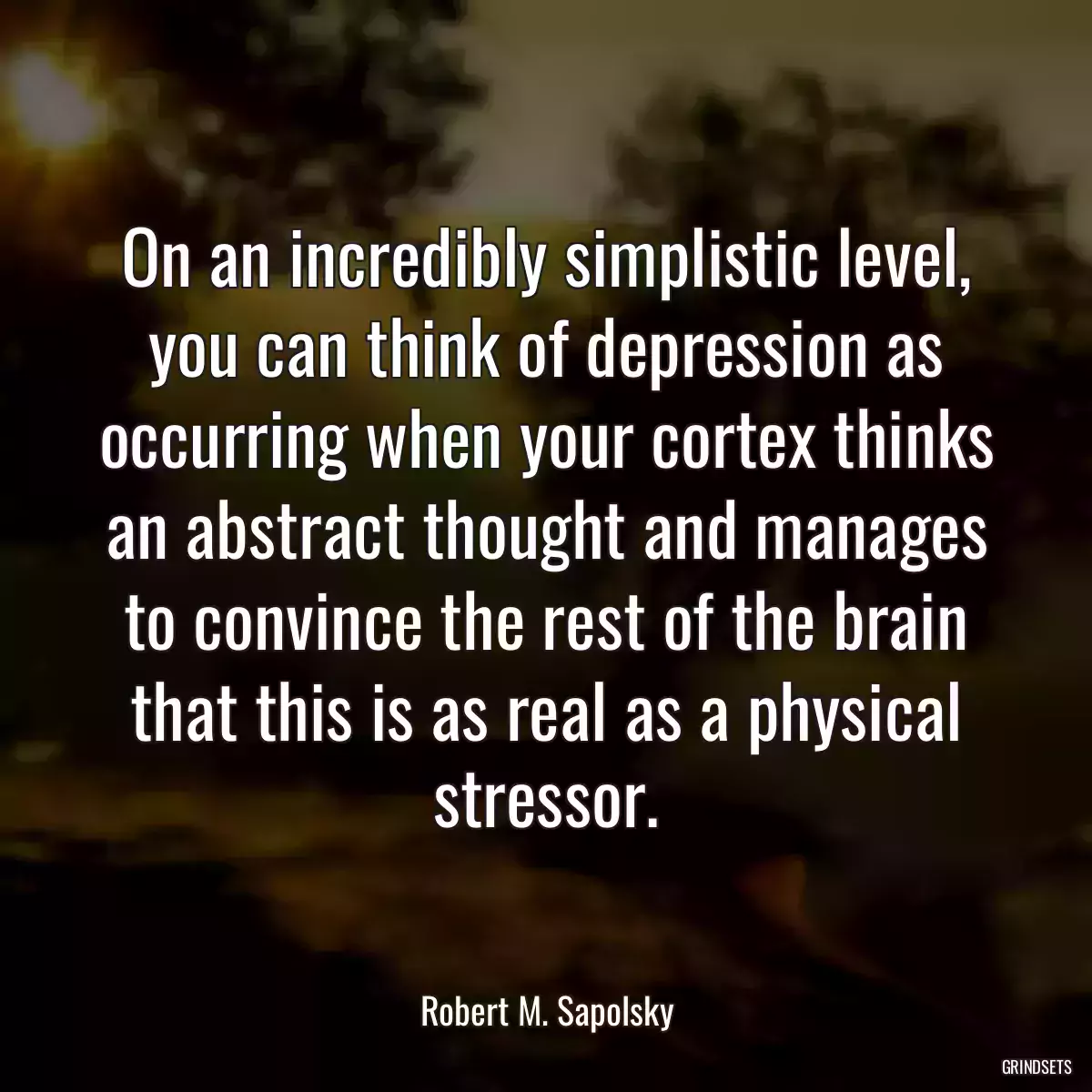 On an incredibly simplistic level, you can think of depression as occurring when your cortex thinks an abstract thought and manages to convince the rest of the brain that this is as real as a physical stressor.