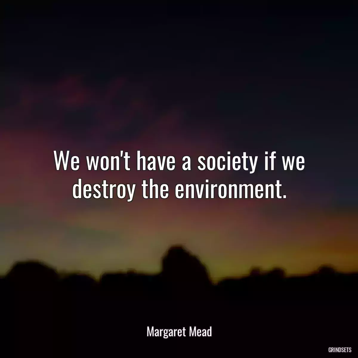 We won\'t have a society if we destroy the environment.