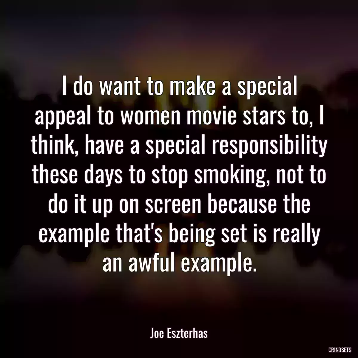 I do want to make a special appeal to women movie stars to, I think, have a special responsibility these days to stop smoking, not to do it up on screen because the example that\'s being set is really an awful example.