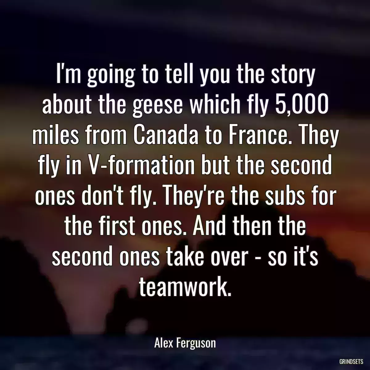 I\'m going to tell you the story about the geese which fly 5,000 miles from Canada to France. They fly in V-formation but the second ones don\'t fly. They\'re the subs for the first ones. And then the second ones take over - so it\'s teamwork.