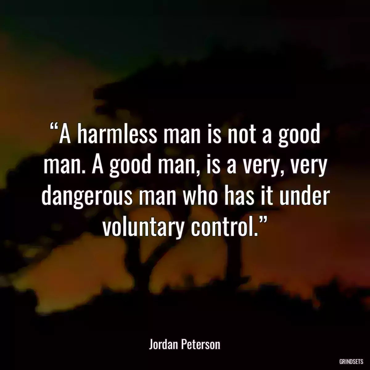 “A harmless man is not a good man. A good man, is a very, very dangerous man who has it under voluntary control.”