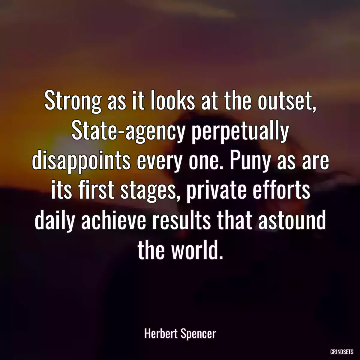 Strong as it looks at the outset, State-agency perpetually disappoints every one. Puny as are its first stages, private efforts daily achieve results that astound the world.