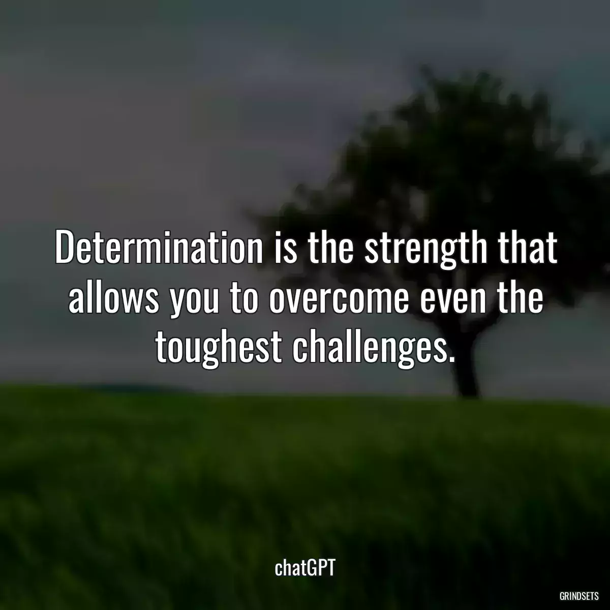 Determination is the strength that allows you to overcome even the toughest challenges.