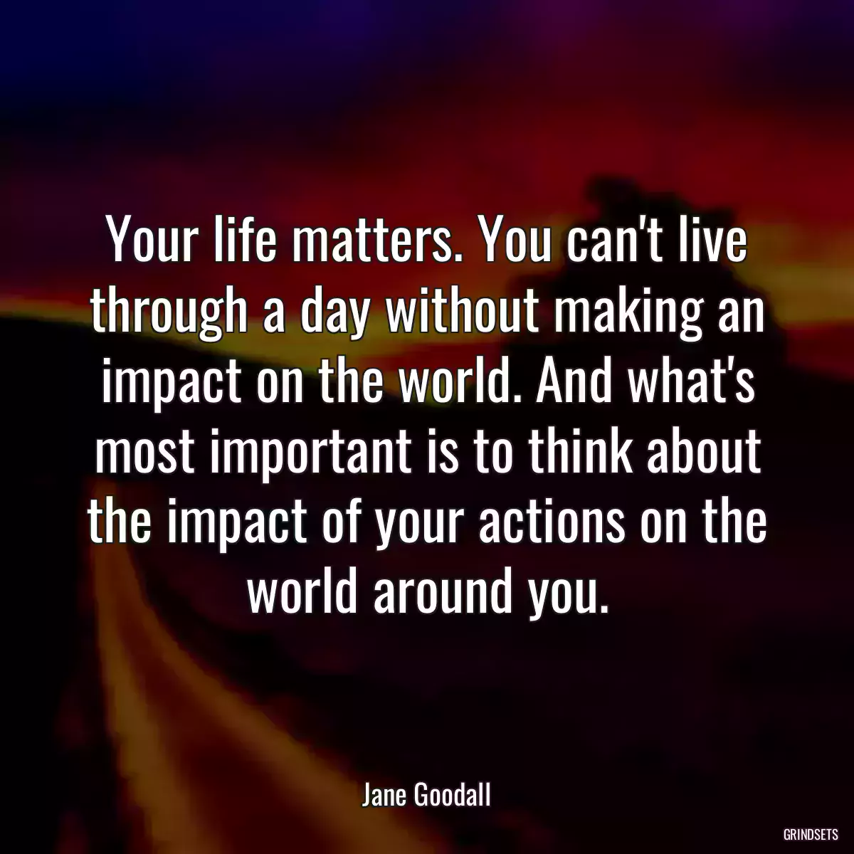 Your life matters. You can\'t live through a day without making an impact on the world. And what\'s most important is to think about the impact of your actions on the world around you.