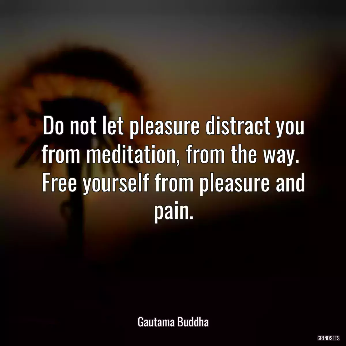 Do not let pleasure distract you from meditation, from the way.  Free yourself from pleasure and pain.