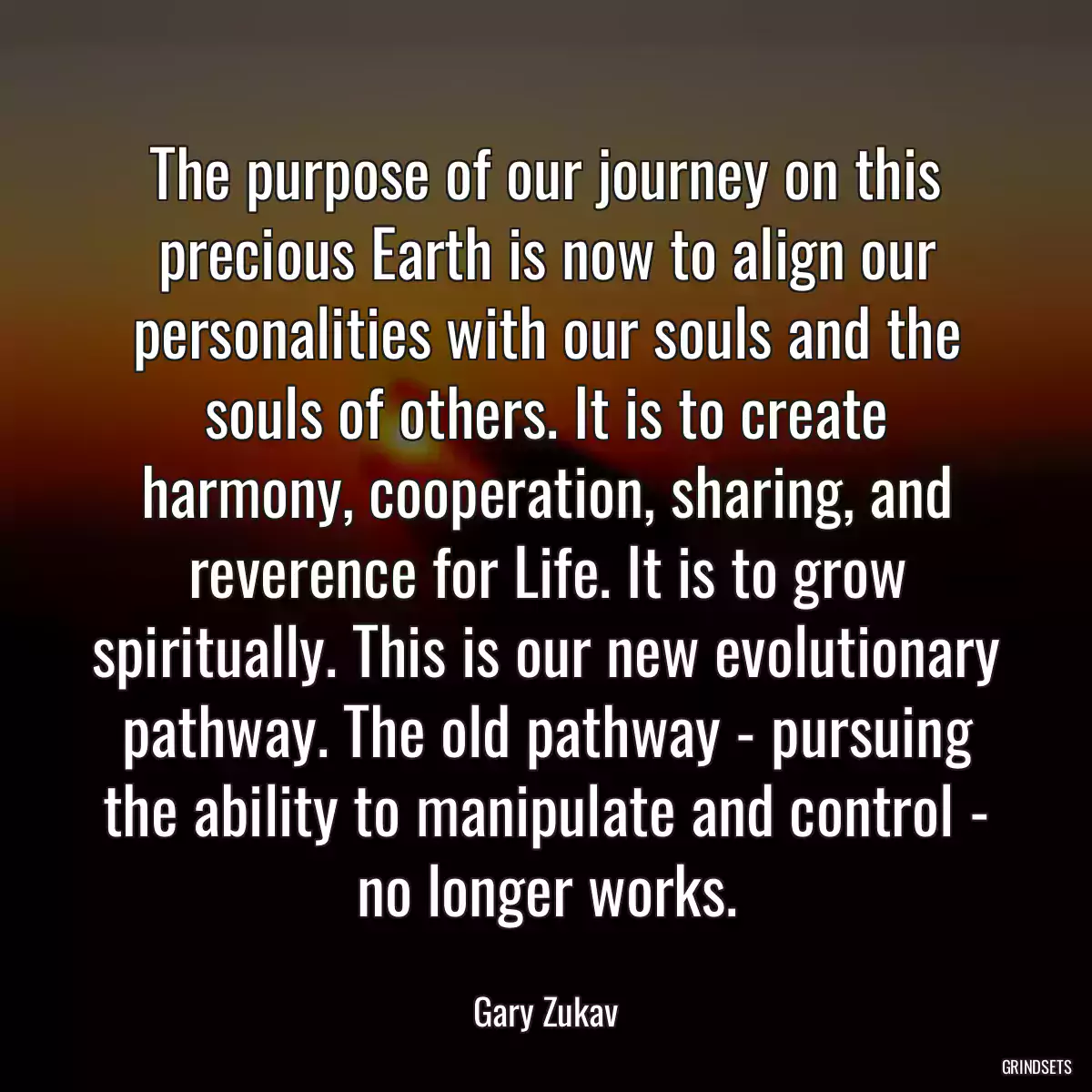 The purpose of our journey on this precious Earth is now to align our personalities with our souls and the souls of others. It is to create harmony, cooperation, sharing, and reverence for Life. It is to grow spiritually. This is our new evolutionary pathway. The old pathway - pursuing the ability to manipulate and control - no longer works.
