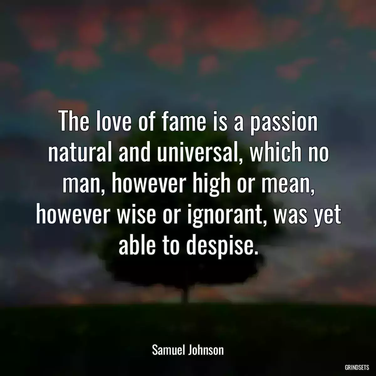 The love of fame is a passion natural and universal, which no man, however high or mean, however wise or ignorant, was yet able to despise.