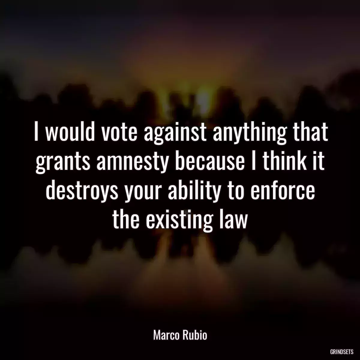 I would vote against anything that grants amnesty because I think it destroys your ability to enforce the existing law