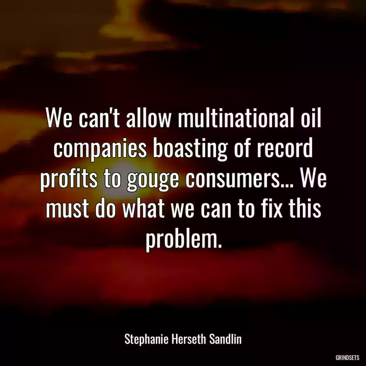 We can\'t allow multinational oil companies boasting of record profits to gouge consumers... We must do what we can to fix this problem.