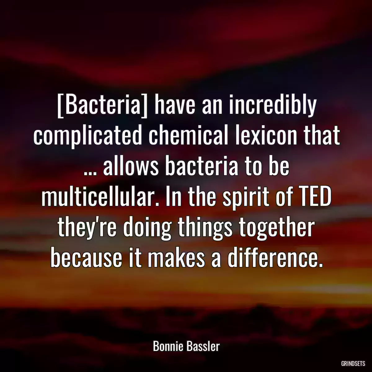 [Bacteria] have an incredibly complicated chemical lexicon that ... allows bacteria to be multicellular. In the spirit of TED they\'re doing things together because it makes a difference.