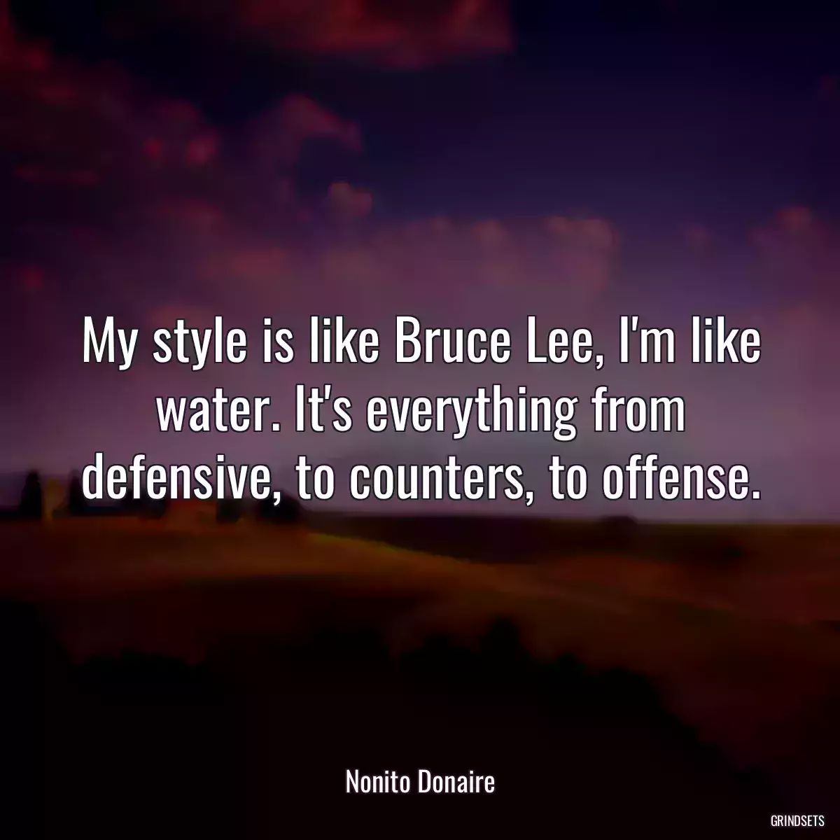 My style is like Bruce Lee, I\'m like water. It\'s everything from defensive, to counters, to offense.