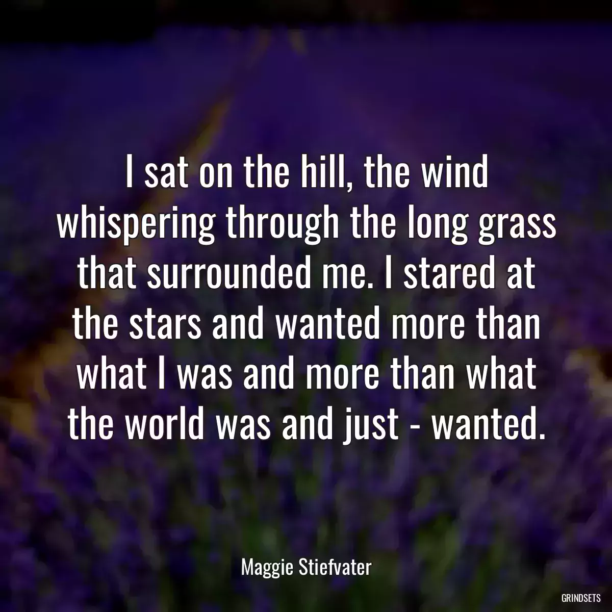 I sat on the hill, the wind whispering through the long grass that surrounded me. I stared at the stars and wanted more than what I was and more than what the world was and just - wanted.