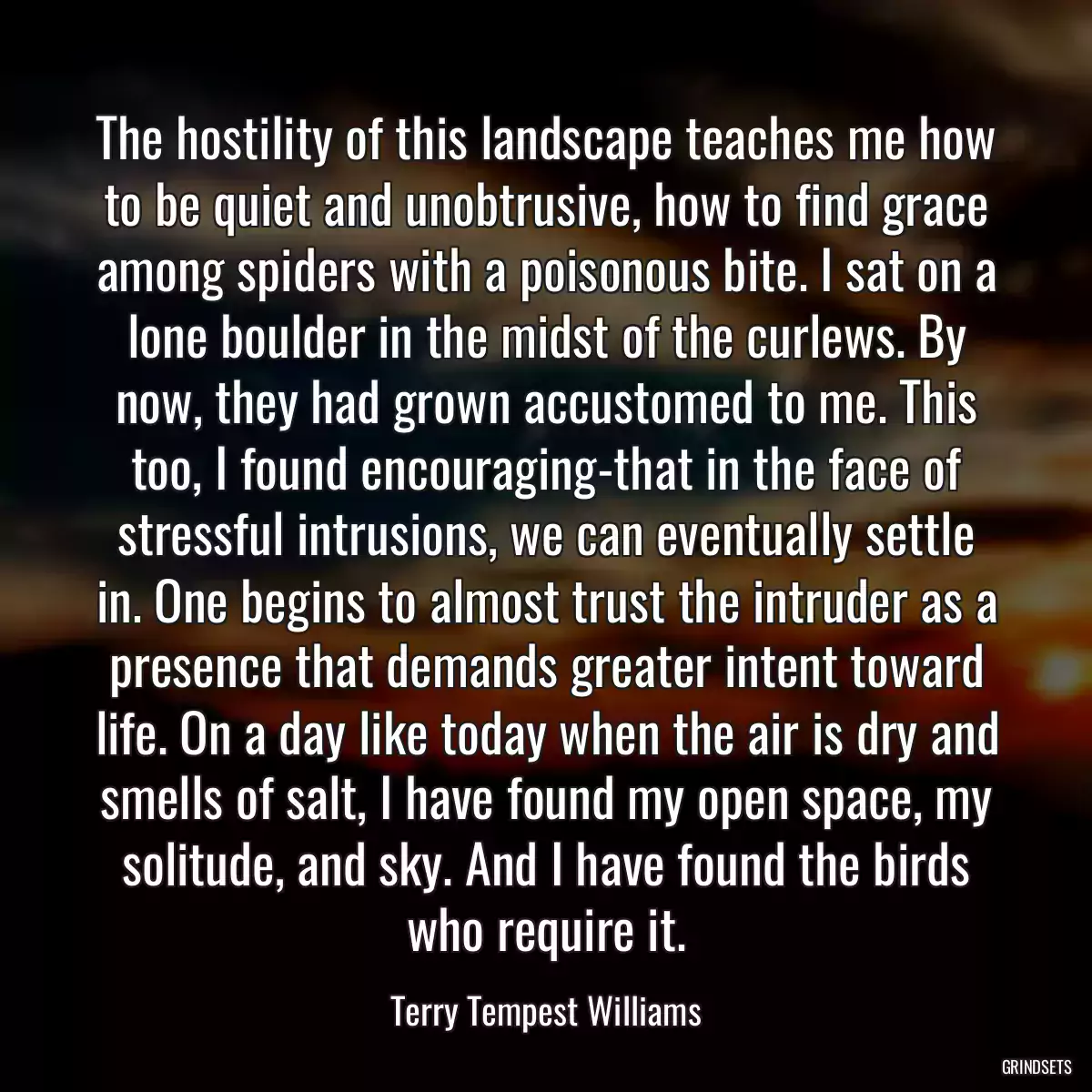 The hostility of this landscape teaches me how to be quiet and unobtrusive, how to find grace among spiders with a poisonous bite. I sat on a lone boulder in the midst of the curlews. By now, they had grown accustomed to me. This too, I found encouraging-that in the face of stressful intrusions, we can eventually settle in. One begins to almost trust the intruder as a presence that demands greater intent toward life. On a day like today when the air is dry and smells of salt, I have found my open space, my solitude, and sky. And I have found the birds who require it.