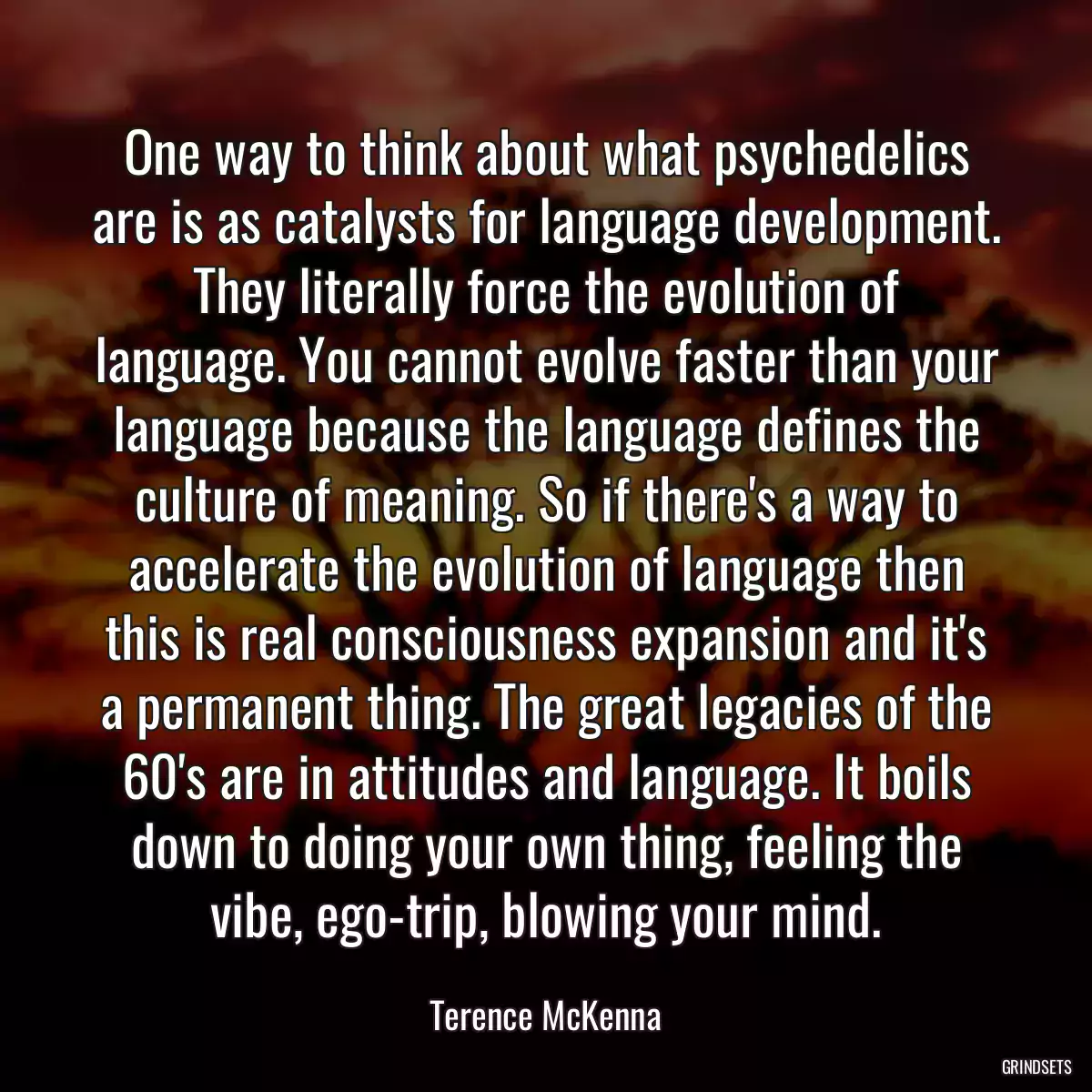 One way to think about what psychedelics are is as catalysts for language development. They literally force the evolution of language. You cannot evolve faster than your language because the language defines the culture of meaning. So if there\'s a way to accelerate the evolution of language then this is real consciousness expansion and it\'s a permanent thing. The great legacies of the 60\'s are in attitudes and language. It boils down to doing your own thing, feeling the vibe, ego-trip, blowing your mind.