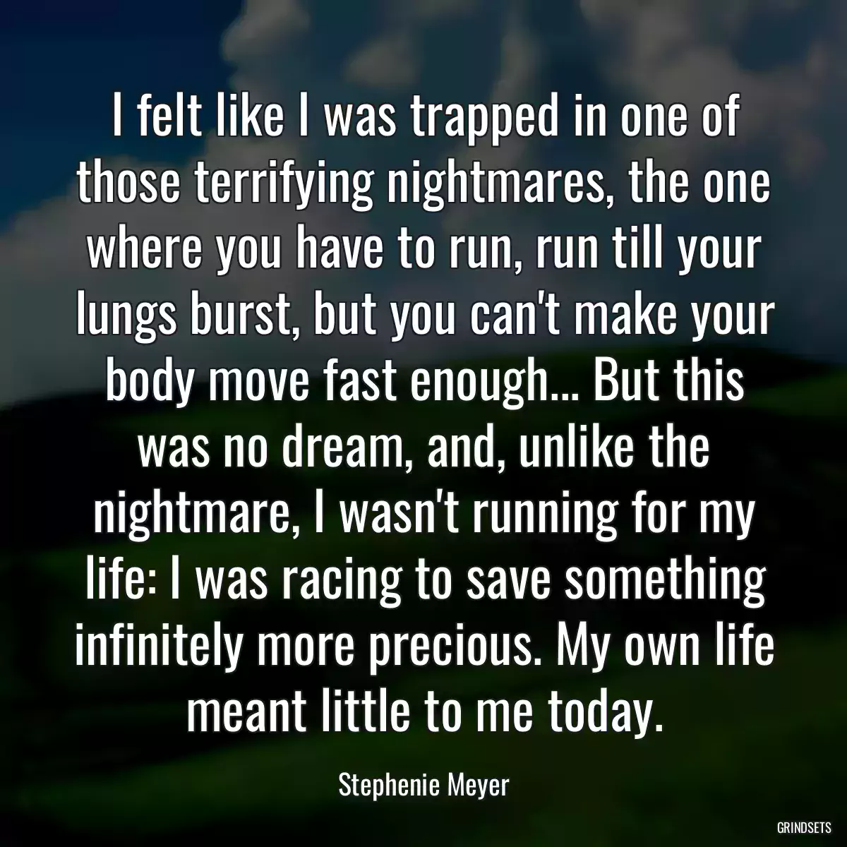 I felt like I was trapped in one of those terrifying nightmares, the one where you have to run, run till your lungs burst, but you can\'t make your body move fast enough... But this was no dream, and, unlike the nightmare, I wasn\'t running for my life: I was racing to save something infinitely more precious. My own life meant little to me today.