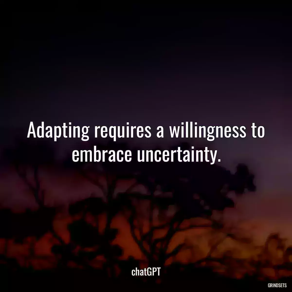 Adapting requires a willingness to embrace uncertainty.