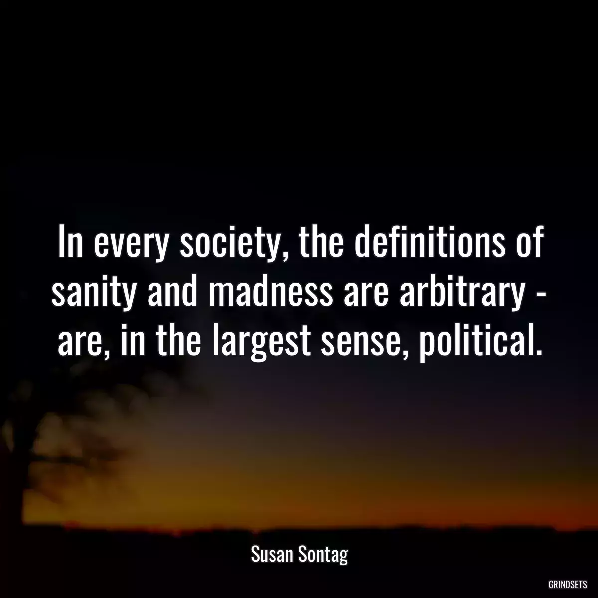 In every society, the definitions of sanity and madness are arbitrary - are, in the largest sense, political.