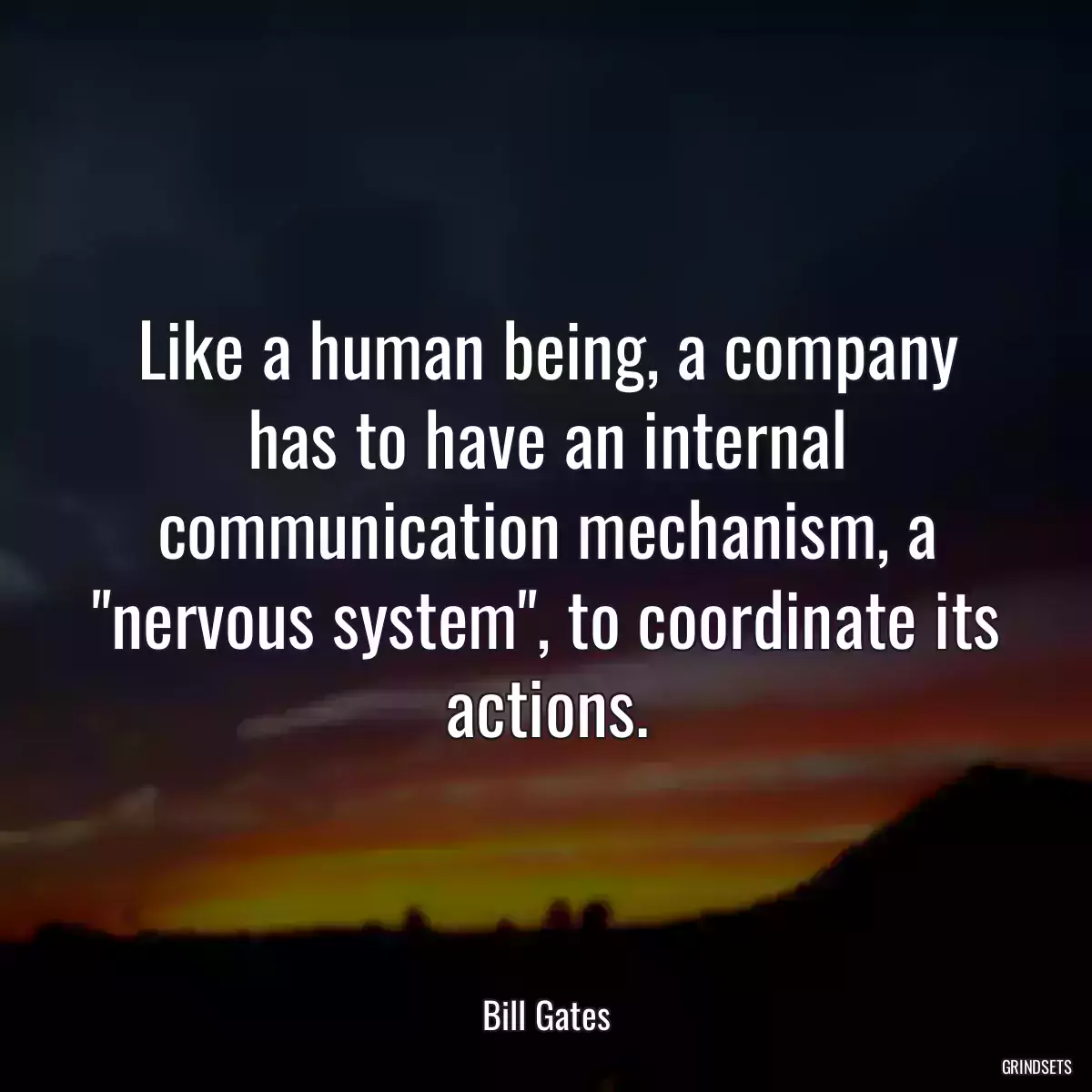 Like a human being, a company has to have an internal communication mechanism, a \