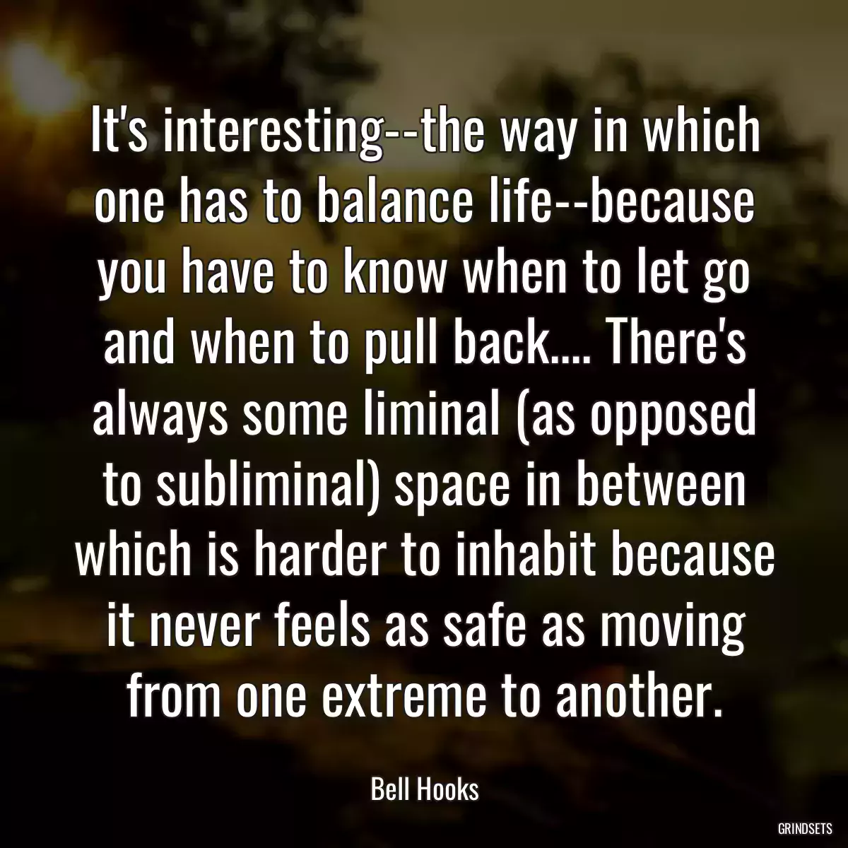 It\'s interesting--the way in which one has to balance life--because you have to know when to let go and when to pull back.... There\'s always some liminal (as opposed to subliminal) space in between which is harder to inhabit because it never feels as safe as moving from one extreme to another.