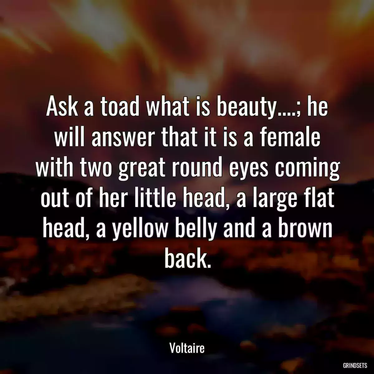 Ask a toad what is beauty....; he will answer that it is a female with two great round eyes coming out of her little head, a large flat head, a yellow belly and a brown back.