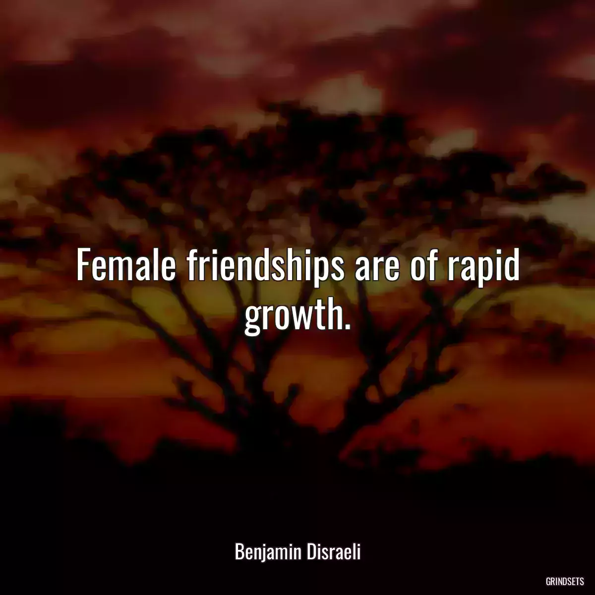 Female friendships are of rapid growth.