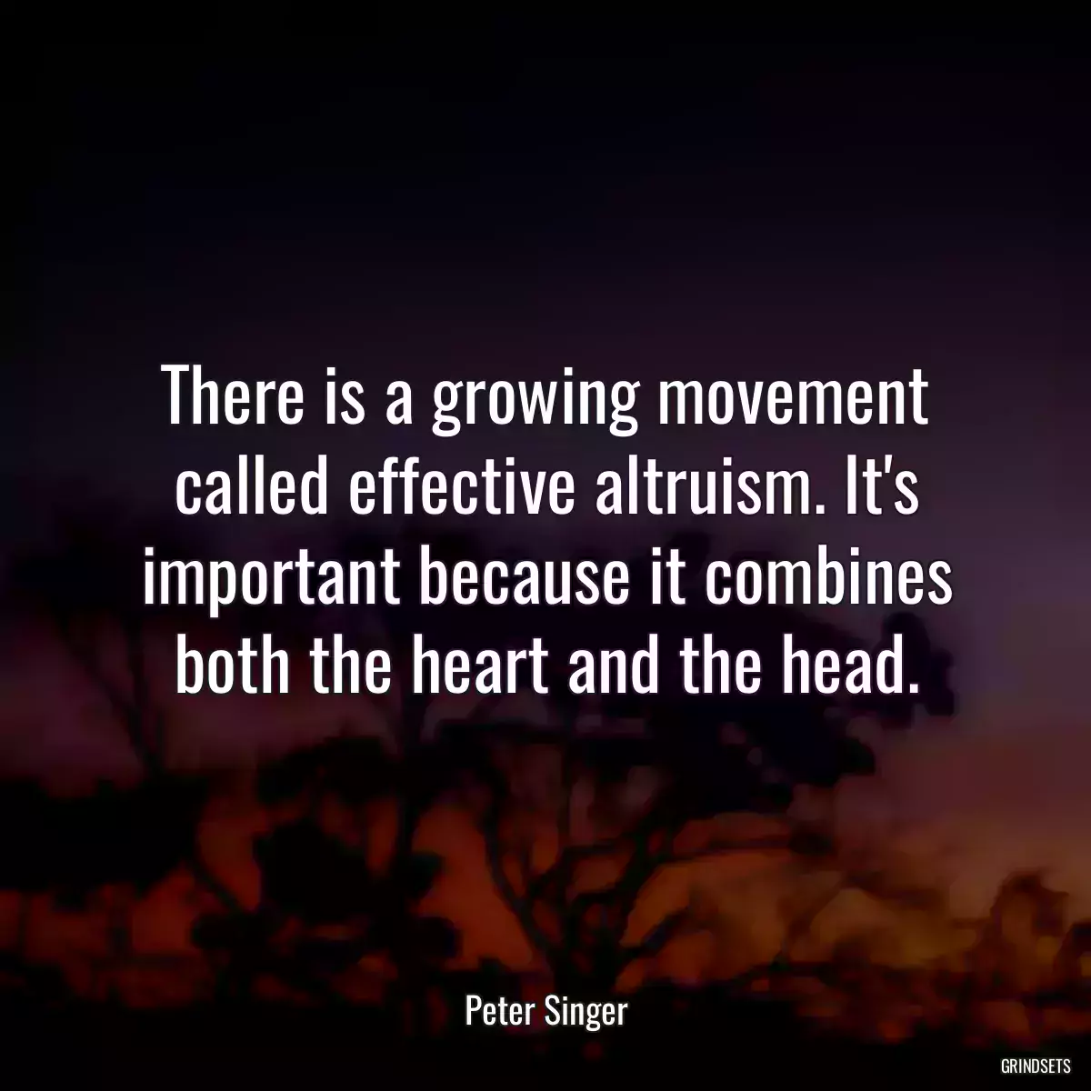 There is a growing movement called effective altruism. It\'s important because it combines both the heart and the head.