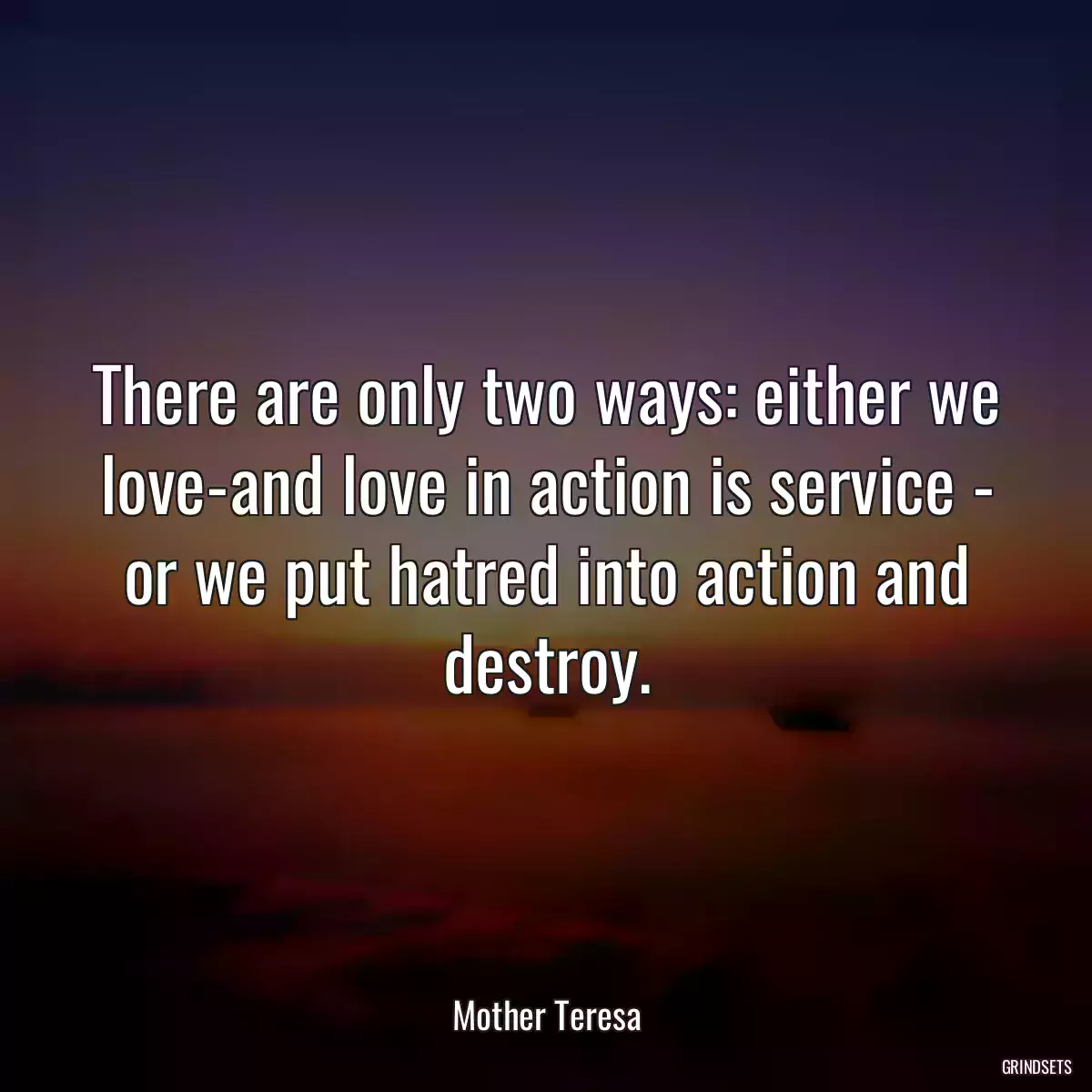 There are only two ways: either we love-and love in action is service - or we put hatred into action and destroy.