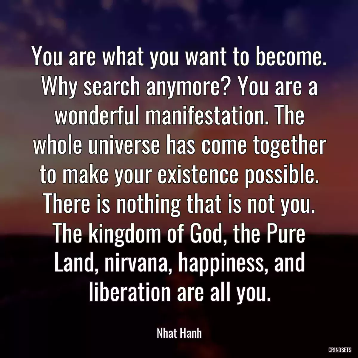 You are what you want to become. Why search anymore? You are a wonderful manifestation. The whole universe has come together to make your existence possible. There is nothing that is not you. The kingdom of God, the Pure Land, nirvana, happiness, and liberation are all you.