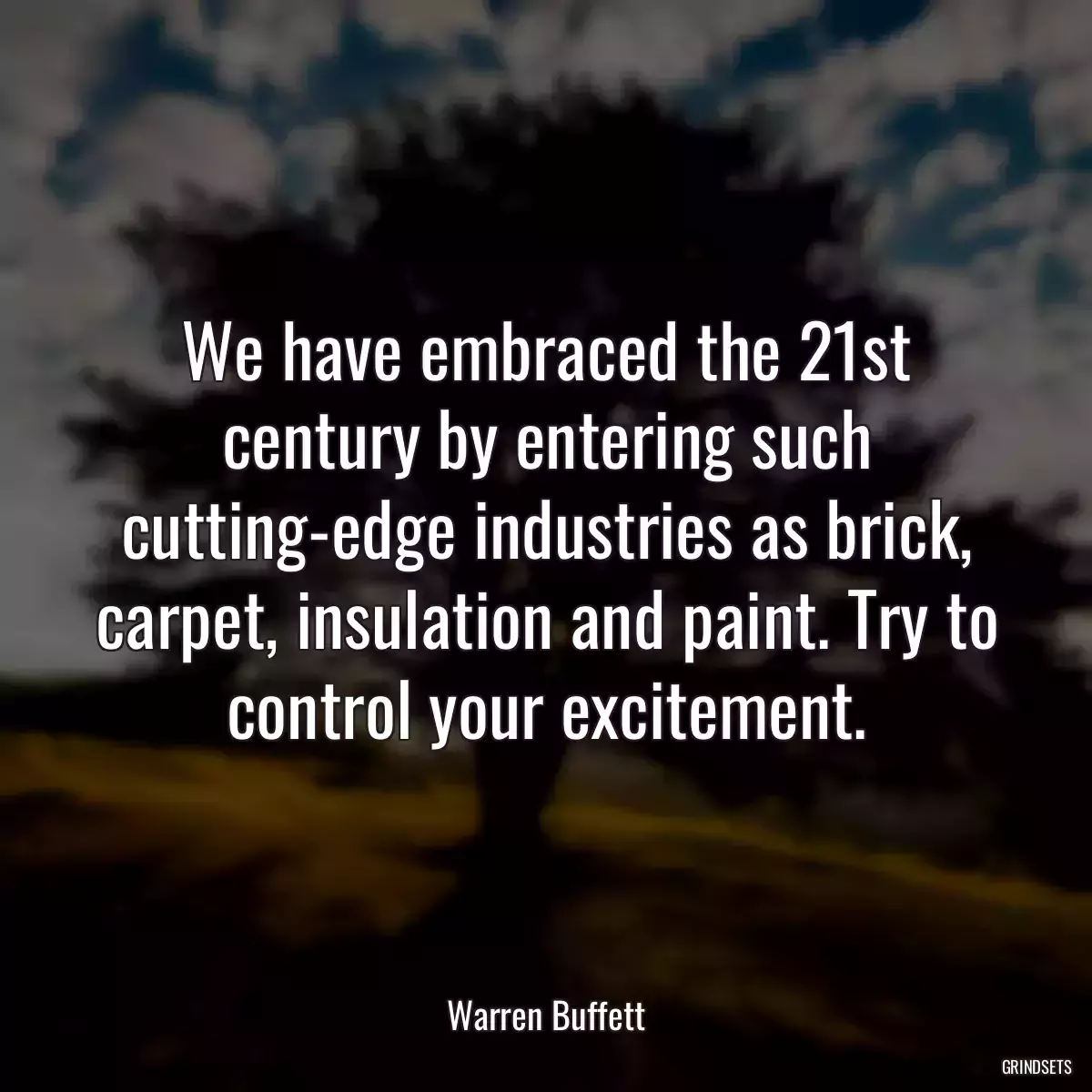 We have embraced the 21st century by entering such cutting-edge industries as brick, carpet, insulation and paint. Try to control your excitement.