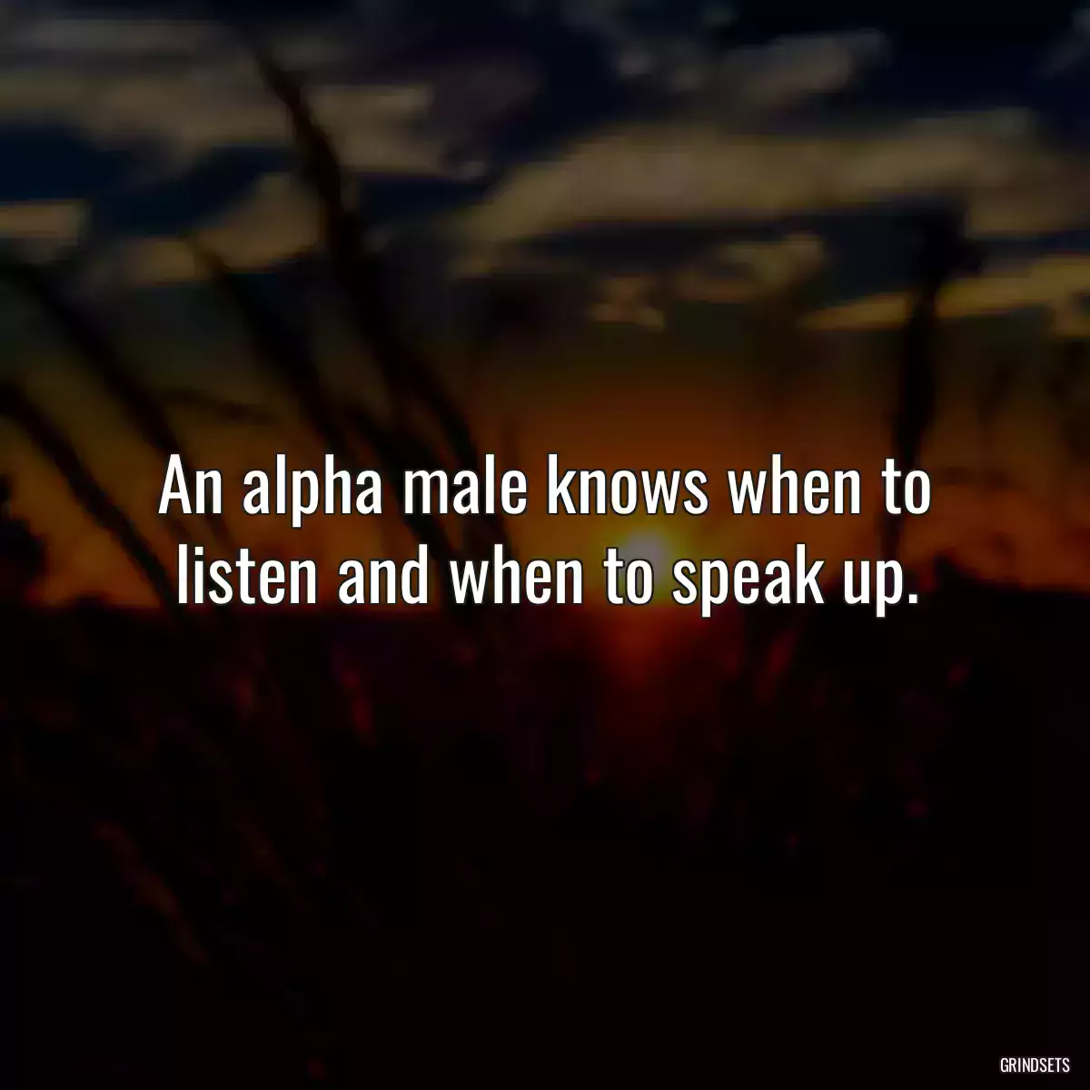 An alpha male knows when to listen and when to speak up.