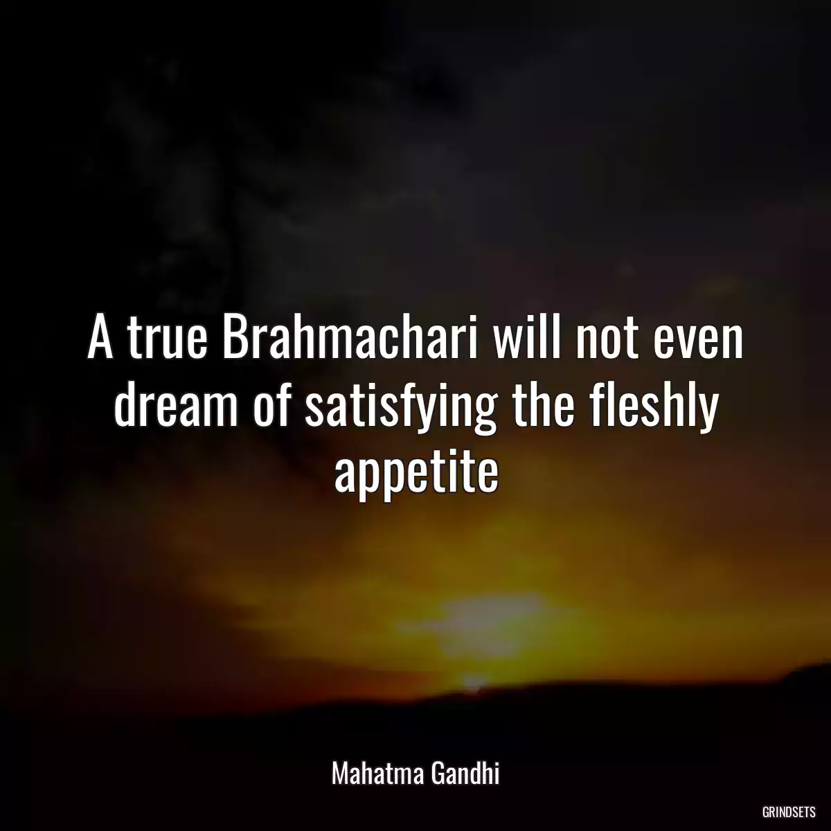 A true Brahmachari will not even dream of satisfying the fleshly appetite