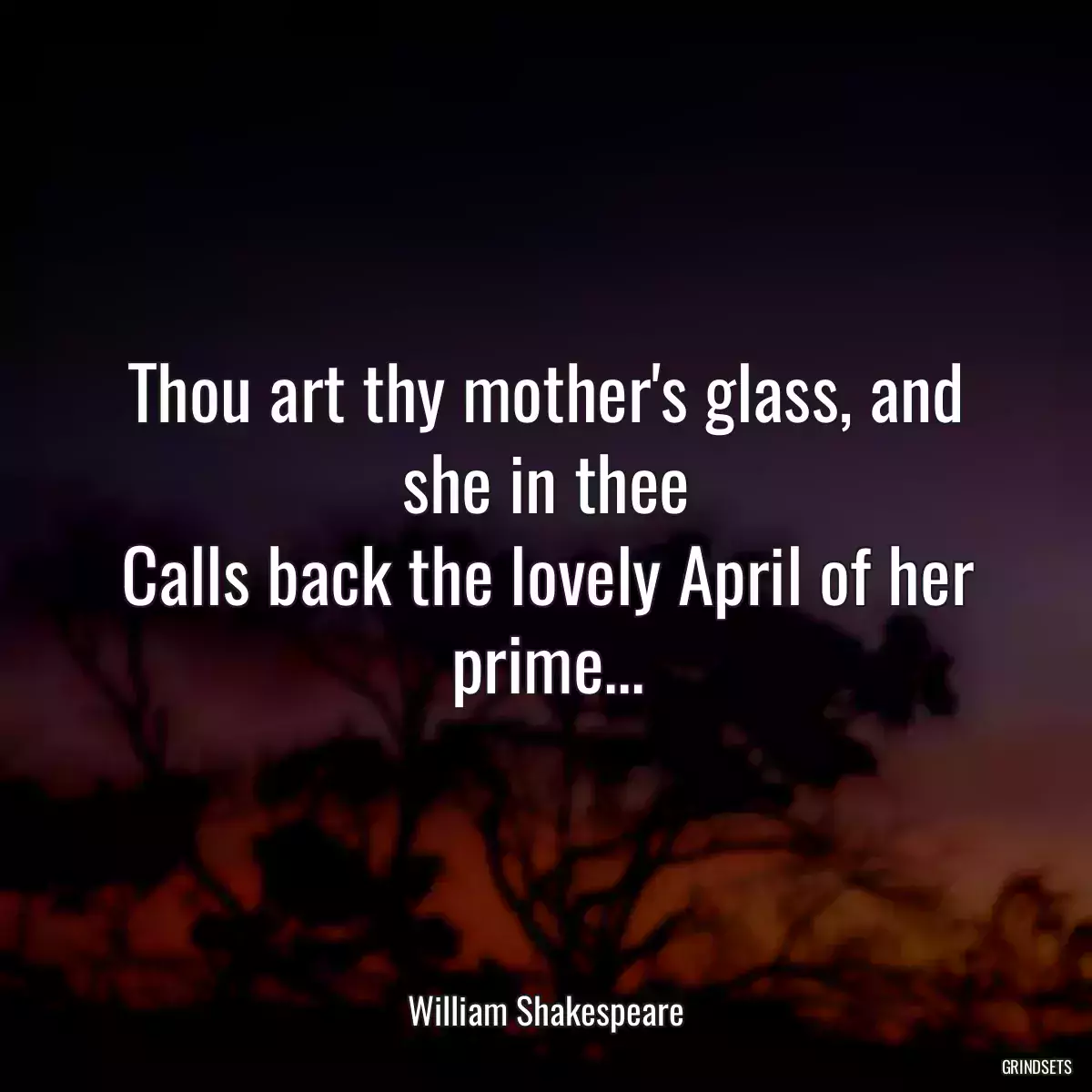 Thou art thy mother\'s glass, and she in thee
Calls back the lovely April of her prime...