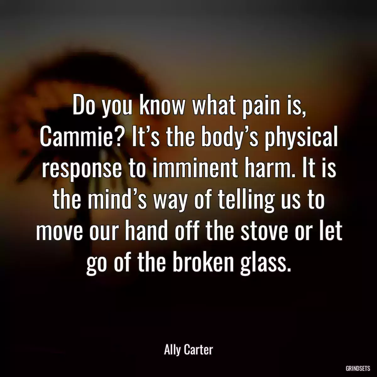 Do you know what pain is, Cammie? It’s the body’s physical response to imminent harm. It is the mind’s way of telling us to move our hand off the stove or let go of the broken glass.