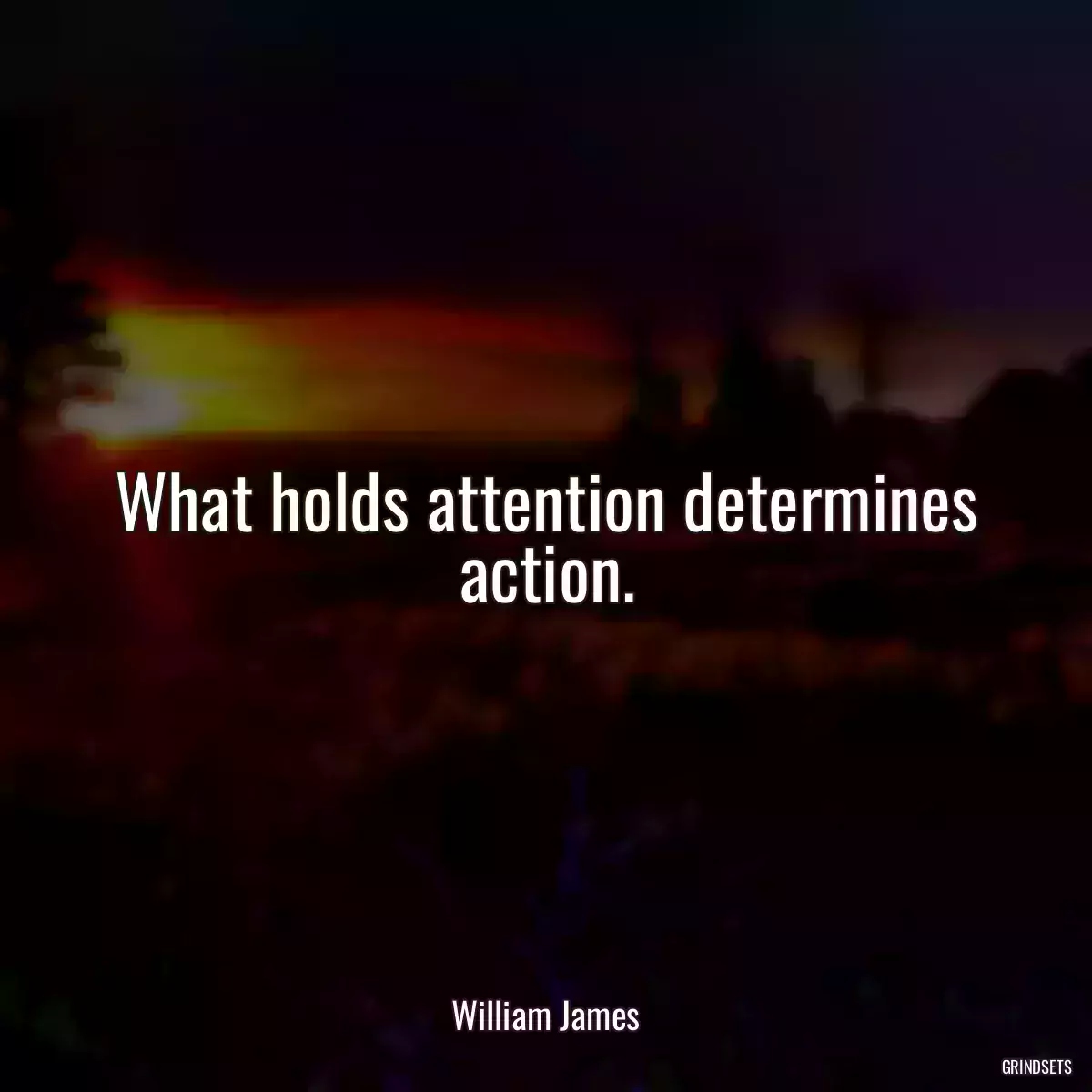 What holds attention determines action.