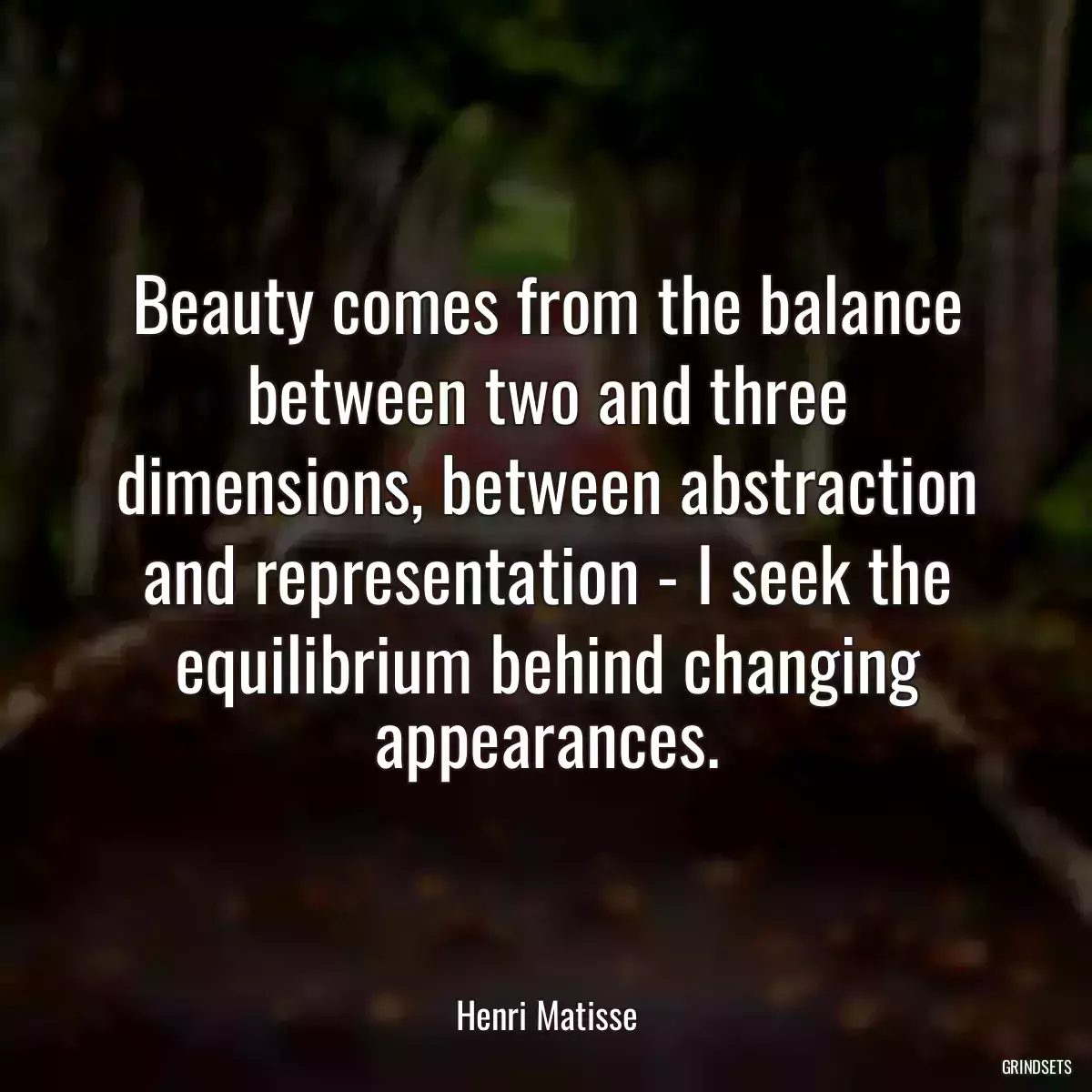 Beauty comes from the balance between two and three dimensions, between abstraction and representation - I seek the equilibrium behind changing appearances.