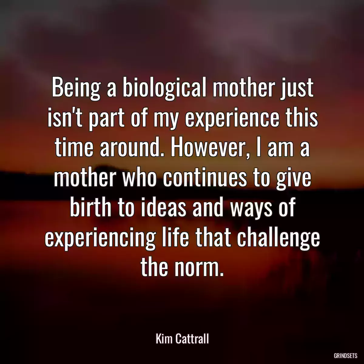 Being a biological mother just isn\'t part of my experience this time around. However, I am a mother who continues to give birth to ideas and ways of experiencing life that challenge the norm.