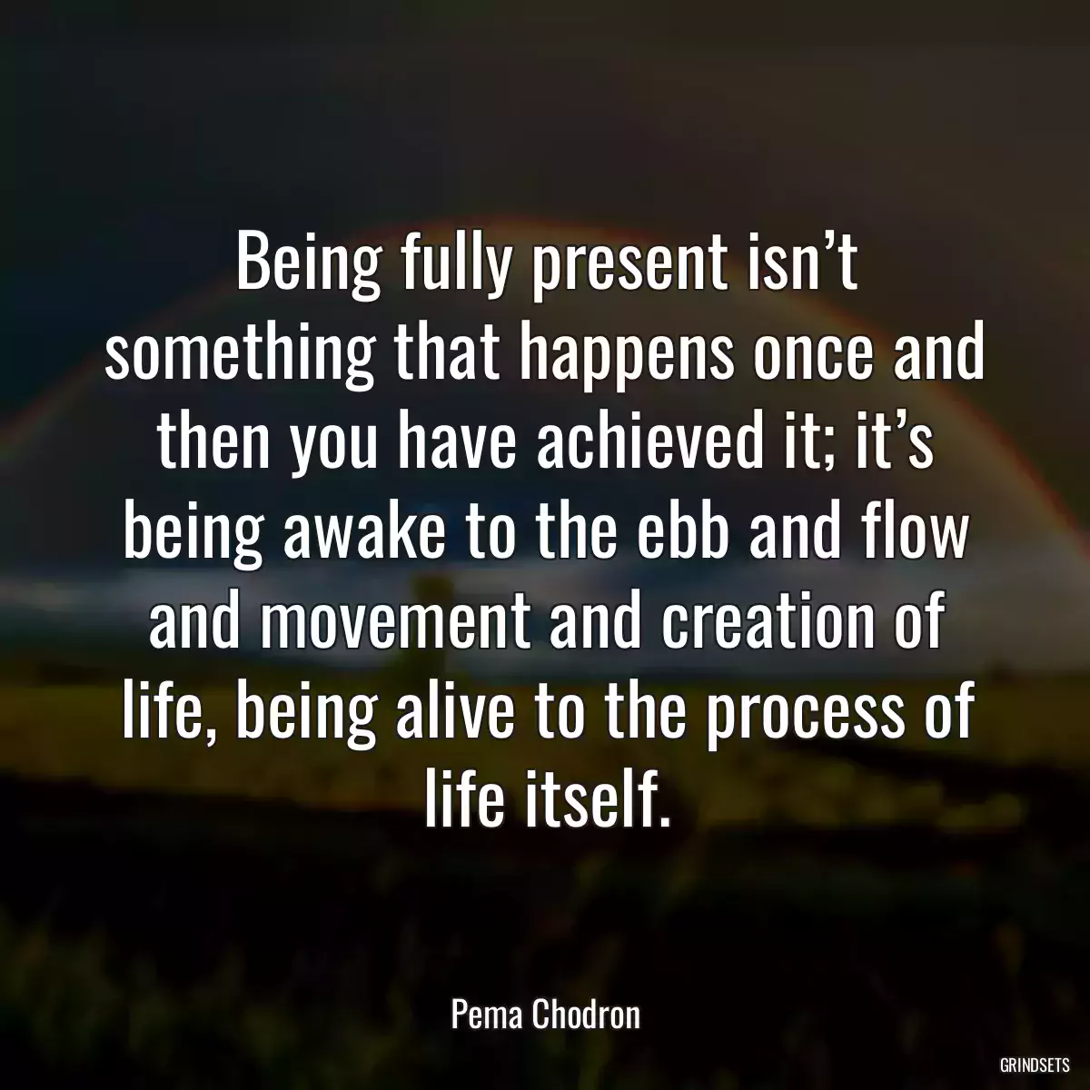 Being fully present isn’t something that happens once and then you have achieved it; it’s being awake to the ebb and flow and movement and creation of life, being alive to the process of life itself.