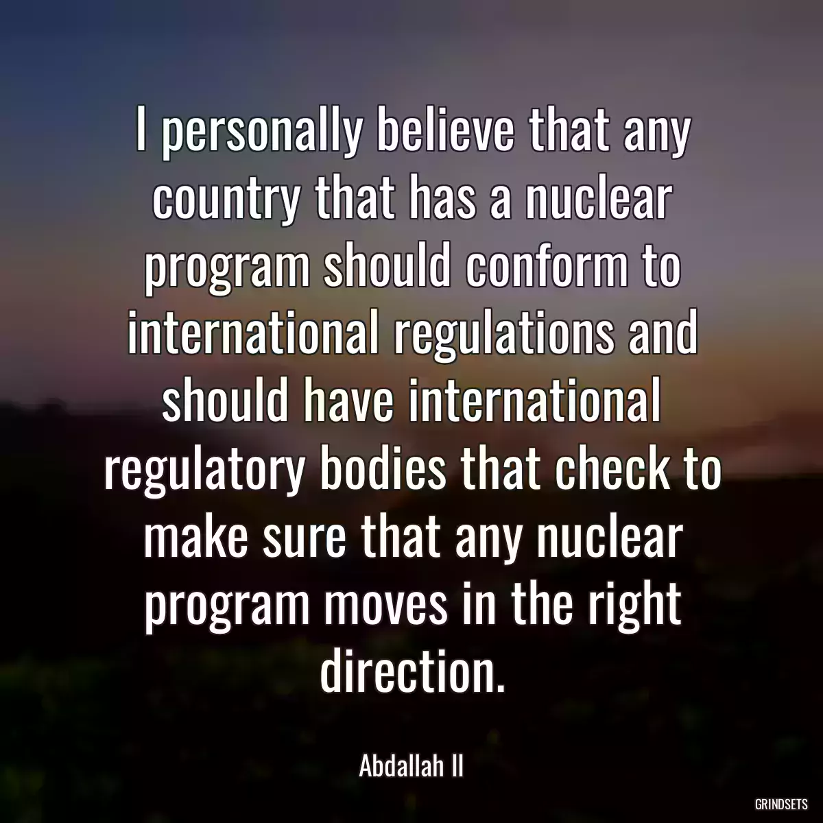 I personally believe that any country that has a nuclear program should conform to international regulations and should have international regulatory bodies that check to make sure that any nuclear program moves in the right direction.