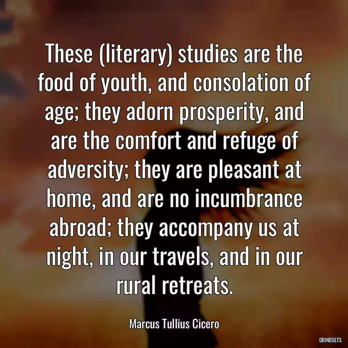 These (literary) studies are the food of youth, and consolation of age; they adorn prosperity, and are the comfort and refuge of adversity; they are pleasant at home, and are no incumbrance abroad; they accompany us at night, in our travels, and in our rural retreats.