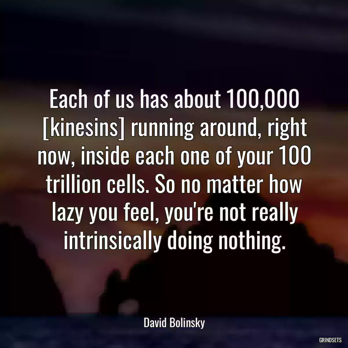 Each of us has about 100,000 [kinesins] running around, right now, inside each one of your 100 trillion cells. So no matter how lazy you feel, you\'re not really intrinsically doing nothing.