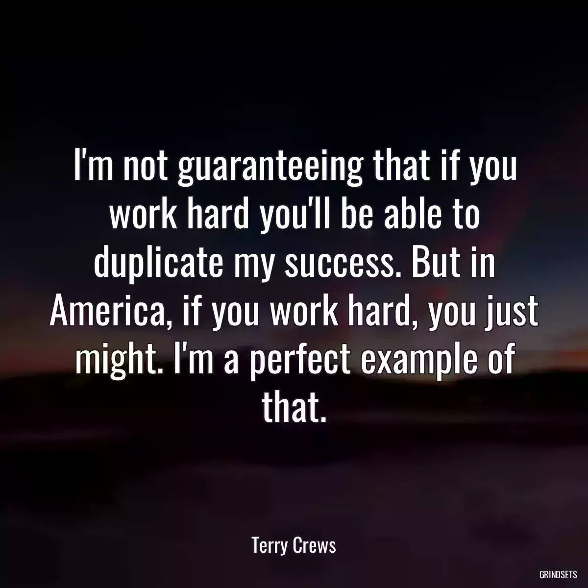 I\'m not guaranteeing that if you work hard you\'ll be able to duplicate my success. But in America, if you work hard, you just might. I\'m a perfect example of that.