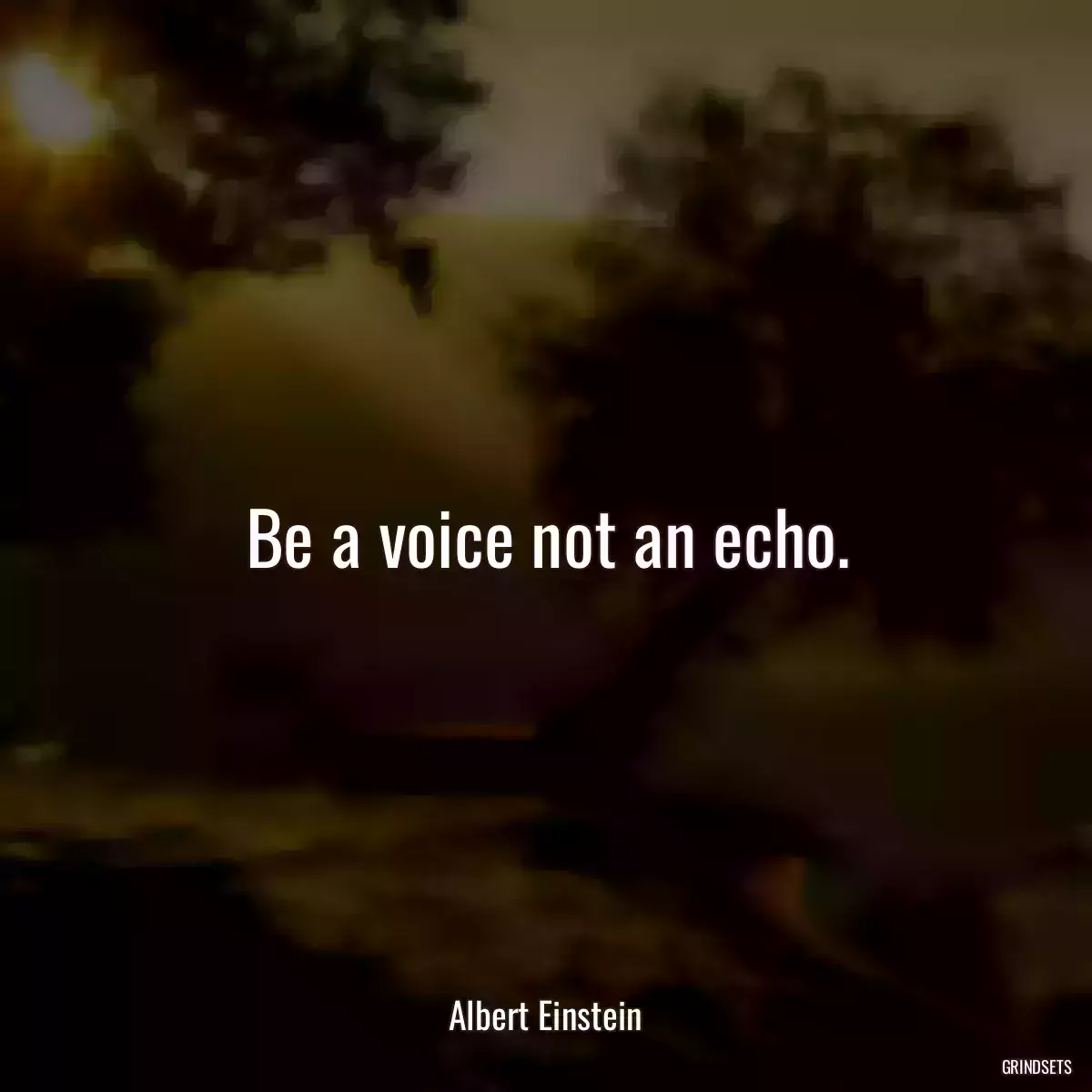 Be a voice not an echo.