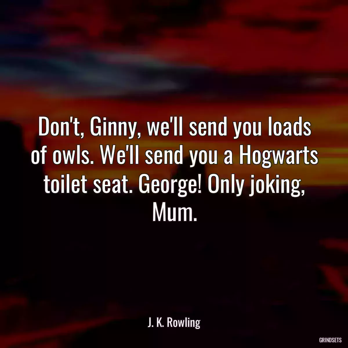 Don\'t, Ginny, we\'ll send you loads of owls. We\'ll send you a Hogwarts toilet seat. George! Only joking, Mum.