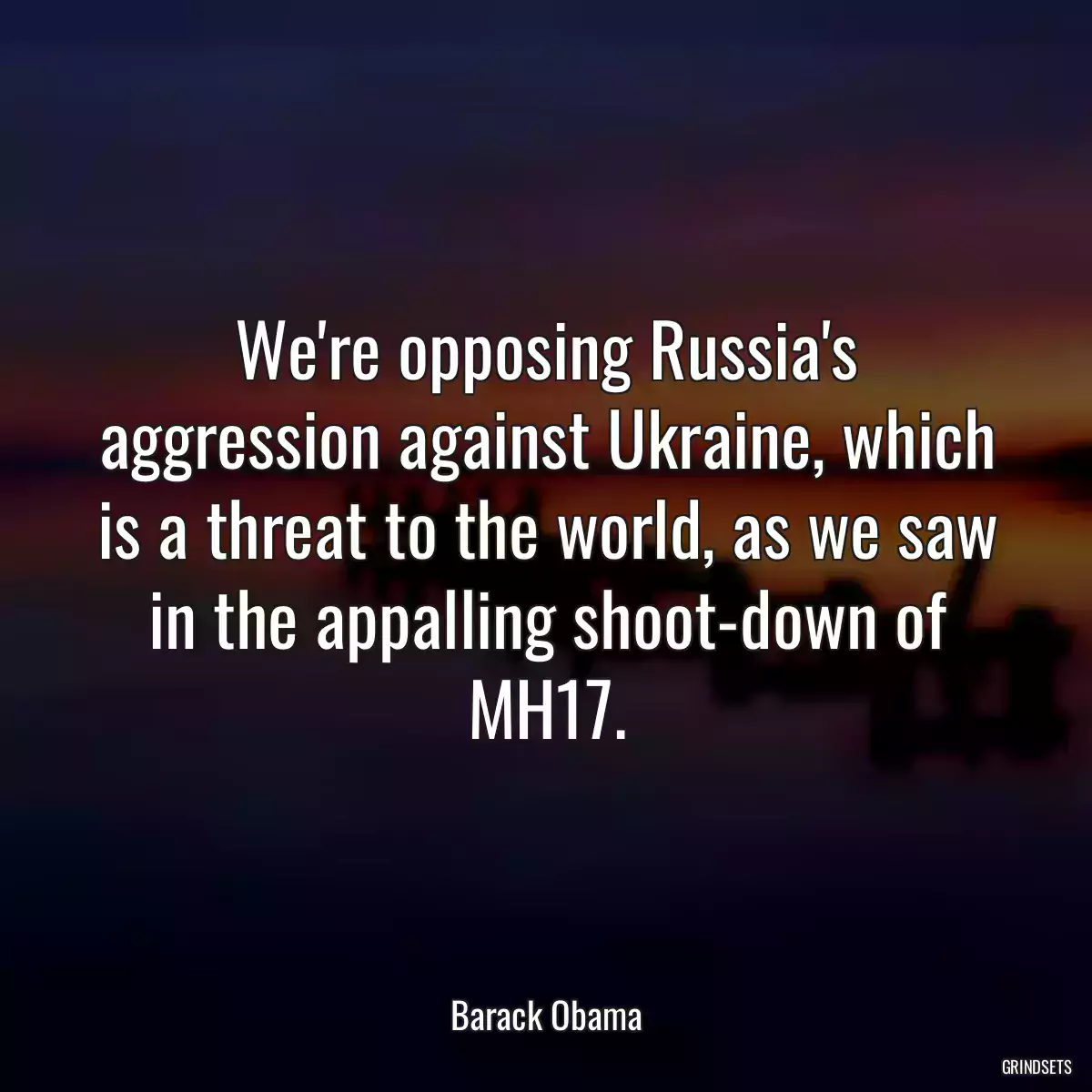 We\'re opposing Russia\'s aggression against Ukraine, which is a threat to the world, as we saw in the appalling shoot-down of MH17.